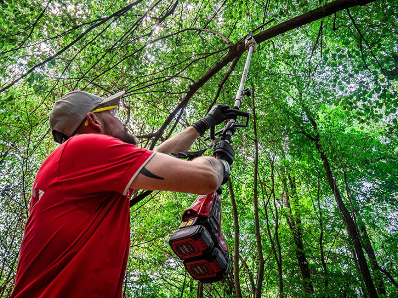 WORCRAFT Vyvětvovací pila - lišta pro aku křovinořez CGT-S40LiBHP - Obrázek 2
